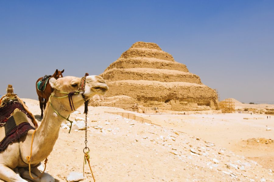 Private Day Tour to Memphis Sakkara and Dahshur from Cairo