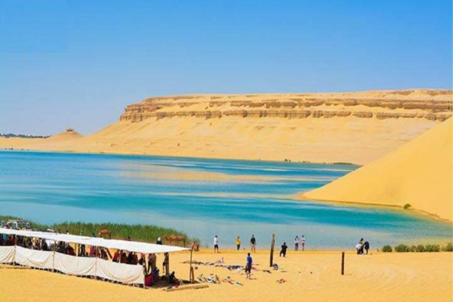 Memorable Family Adventure in Egypt: Fayoum Oasis, Desert Safari, Nile Cruise & Hurghada Getaway